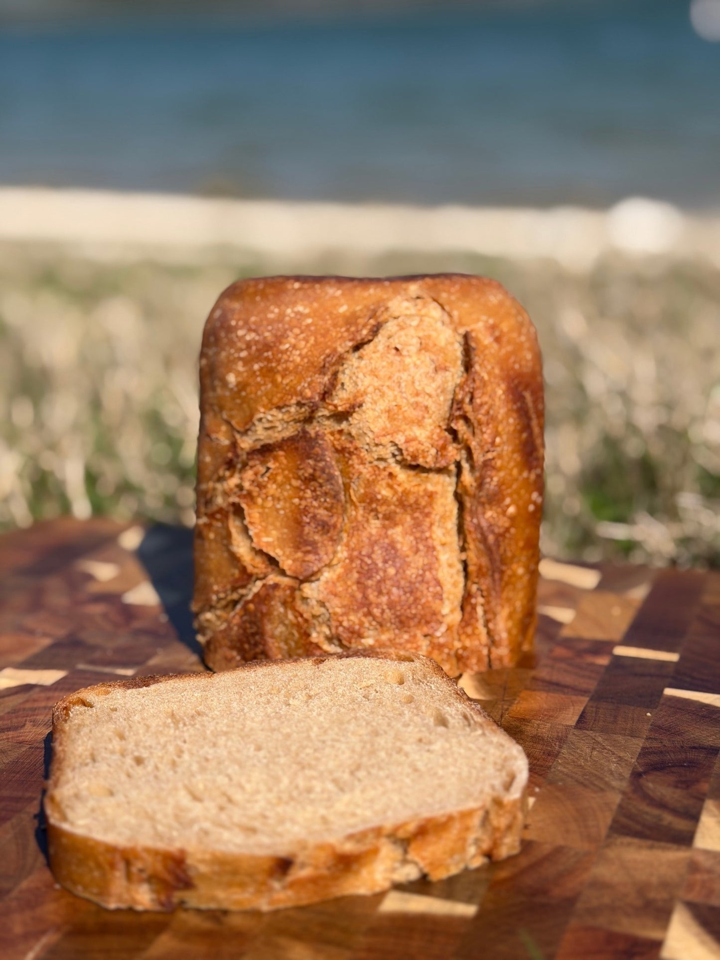 Daily Lechem Signature Sourdough