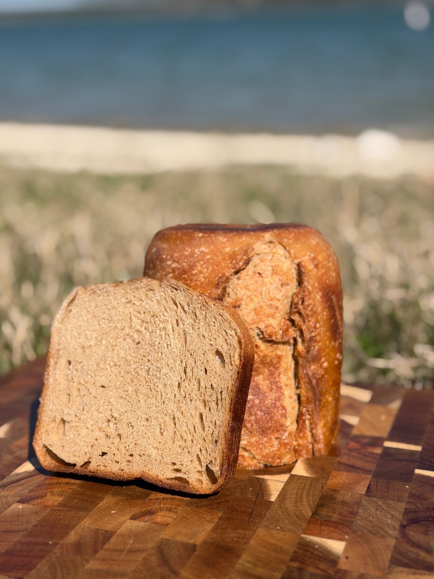 Daily Lechem Signature Sourdough