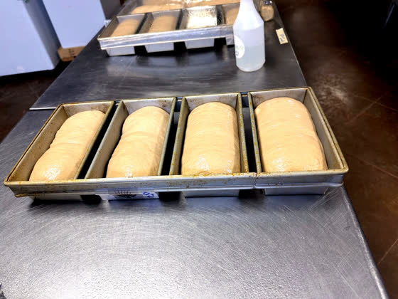 Dough proofing in strapped pans