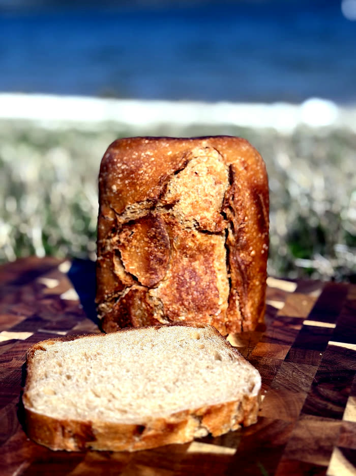 Whole sourdough loaf standing on a board with the shoreline behind